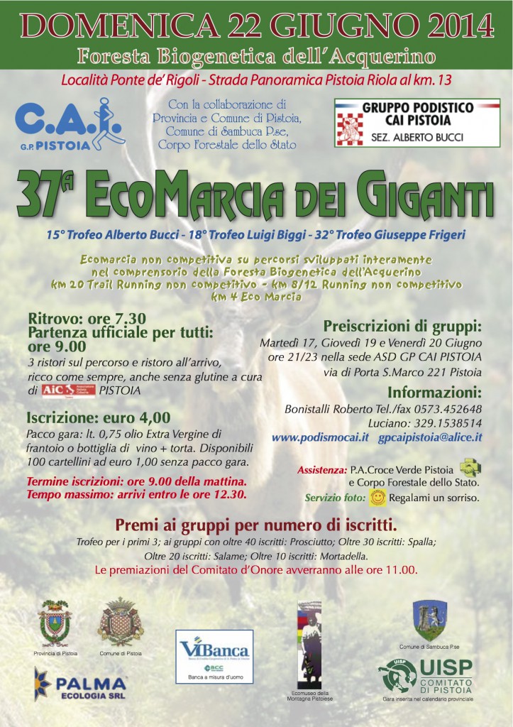 volantino marcia giganti 2014